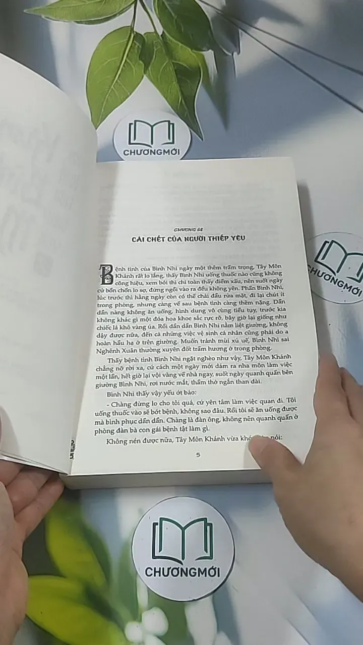 Kim Bình Mai 2 688581