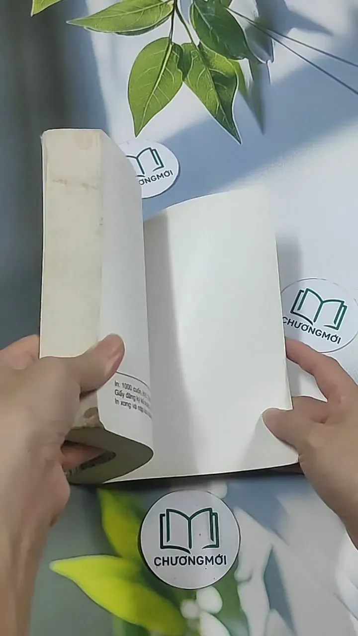 Con rể tỉnh trưởng - Phương Vỹ 695009