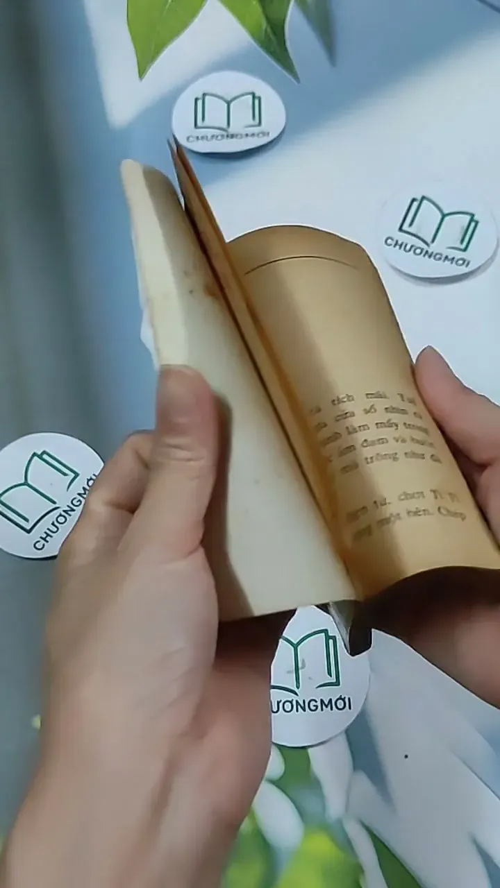 Cô Bé Hoả Tinh - Phượng Duy 703147