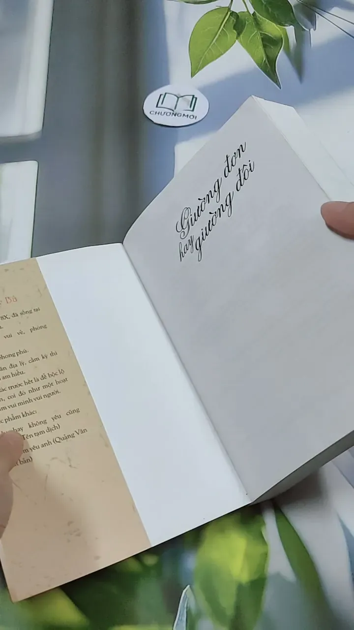 Giường Đơn Hay Giường Đôi - Cầm Sắt Tỳ Bà 744730