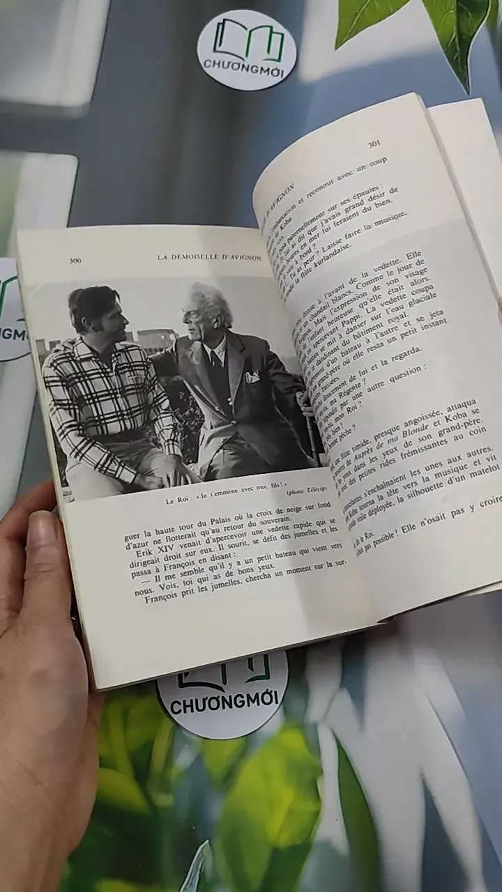[MIỄN PHÍ BỌC SÁCH] [XƯA] La Demoiselle d'Avignon (1982) - Frédérique Hébrard & Louis Velle 754526