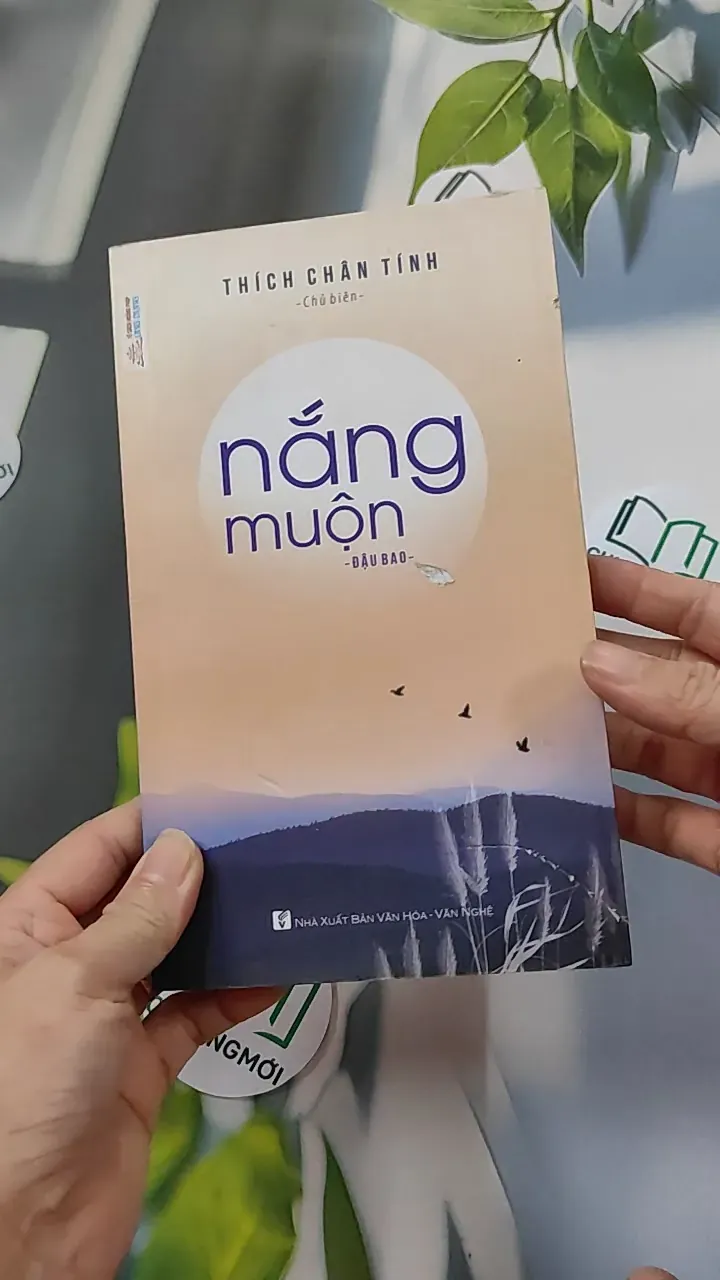 Nắng Muộn - Đậu Bảo 776107