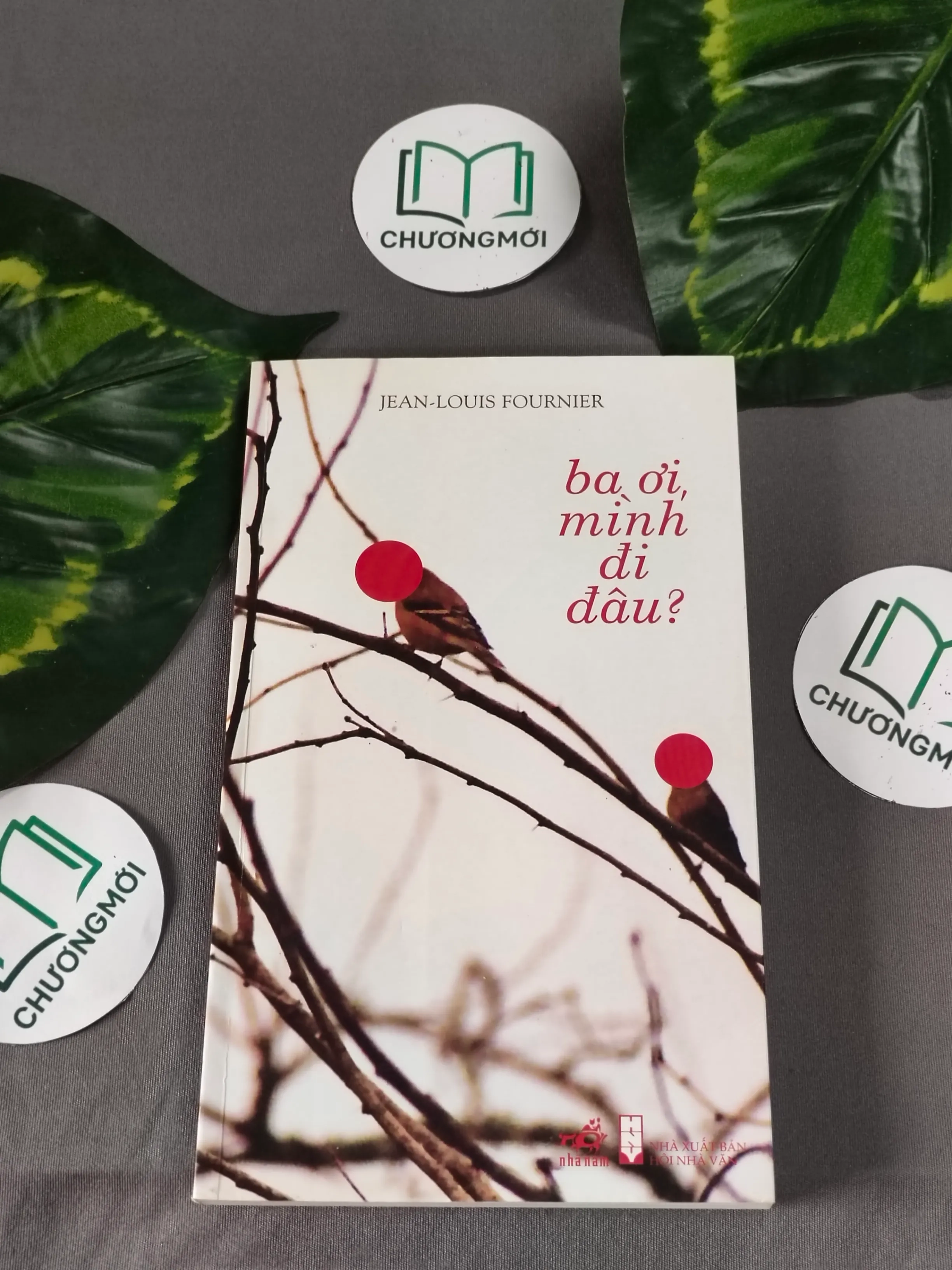 Ba ơi, mình đi đâu? - Jean-Louis Fournier