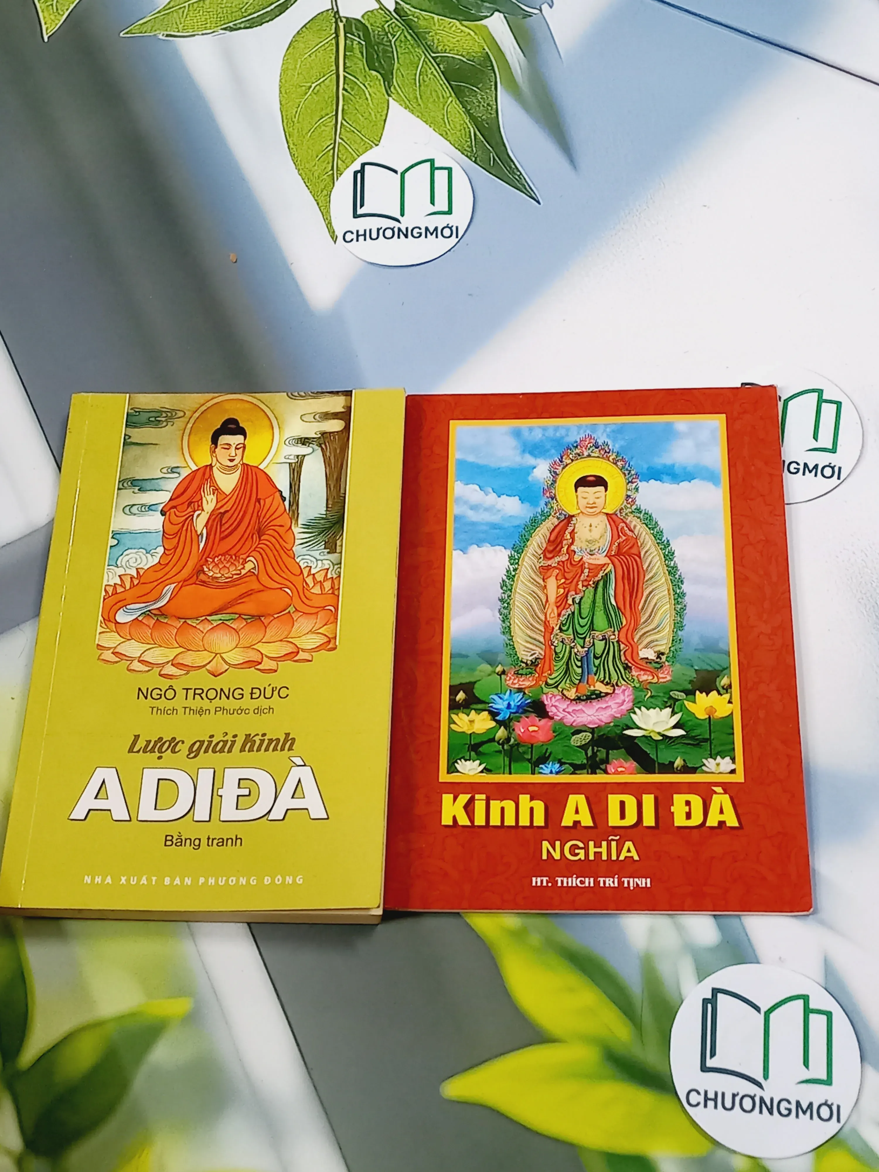 Lược Giải Kinh A Di Đà (Tặng Kinh A Di Đà Nghĩa) - Ngô Trọng Đức