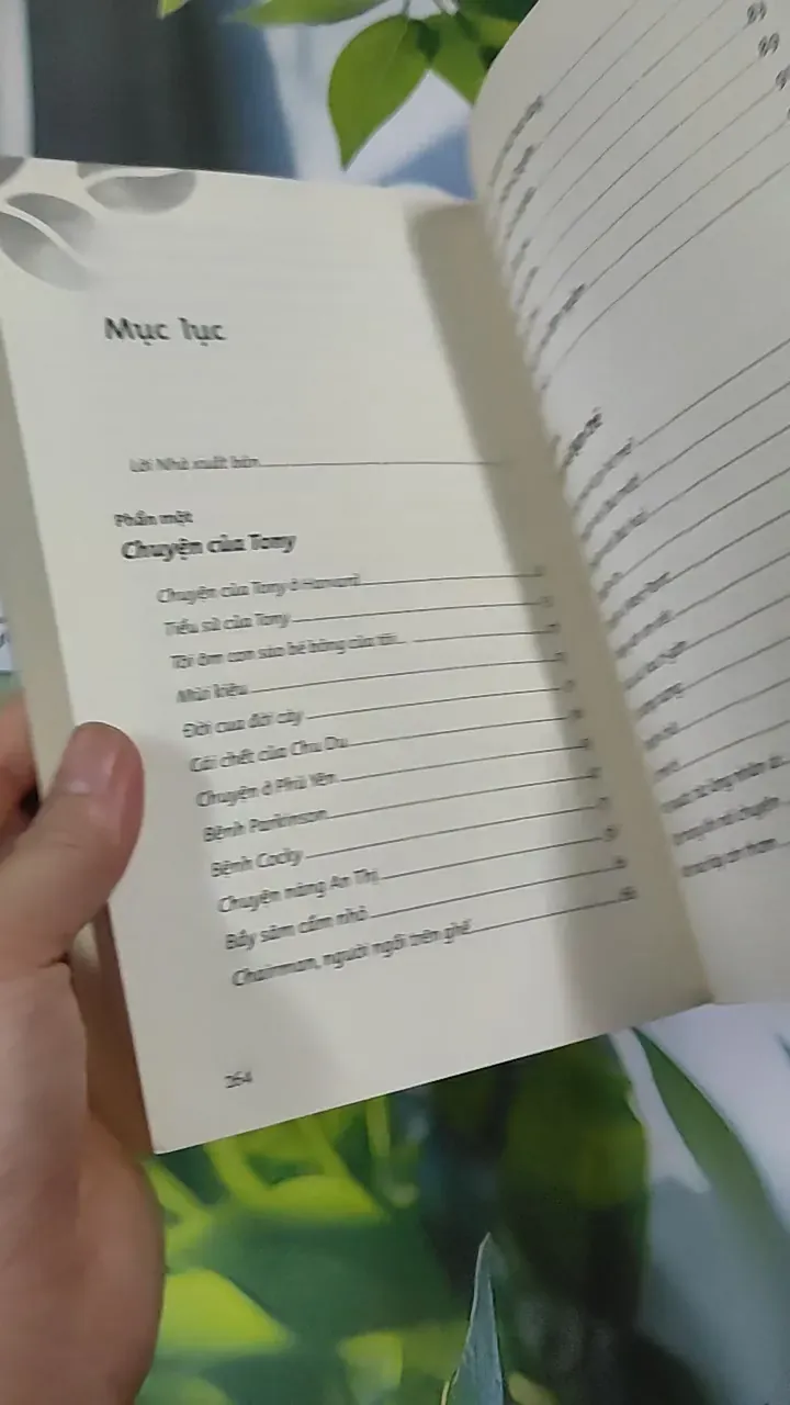 Cà Phê Cùng Tony - Tony Buổi Sáng 787082