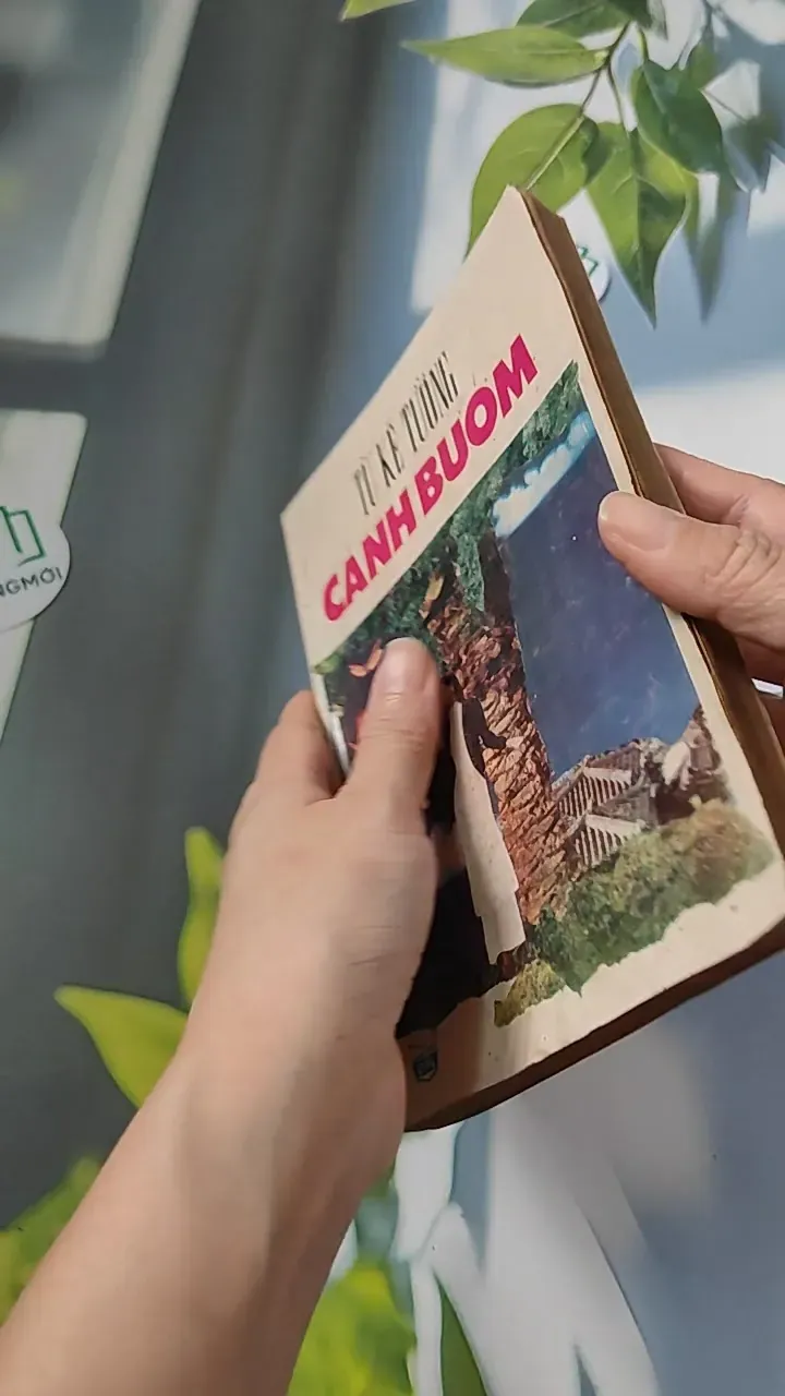 [XƯA] Cánh Bướm (1989) (Cánh Bướm) 776073