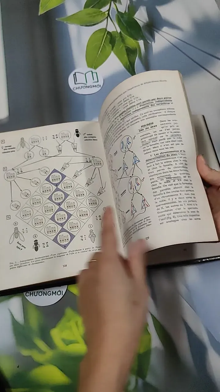 [MIỄN PHÍ BỌC SÁCH] Sciences Naturelles: Terminale D - Charles Désire 751224