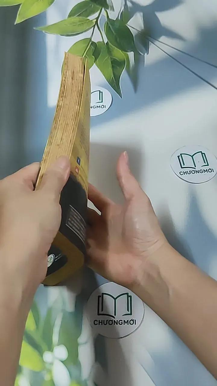 Trí tuệ diệu kỳ - G. Francis Xavier 688558