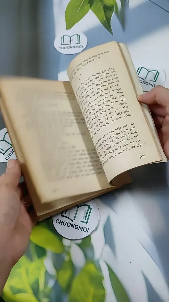 Vùng Đồi Gió Quẩn - Sa Phong Ba 713834