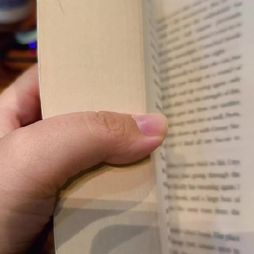 Đấu trường sinh tử Húng nhại - The Hunger Games Mockingjay - Suzanne Collins (Paperback) 459737