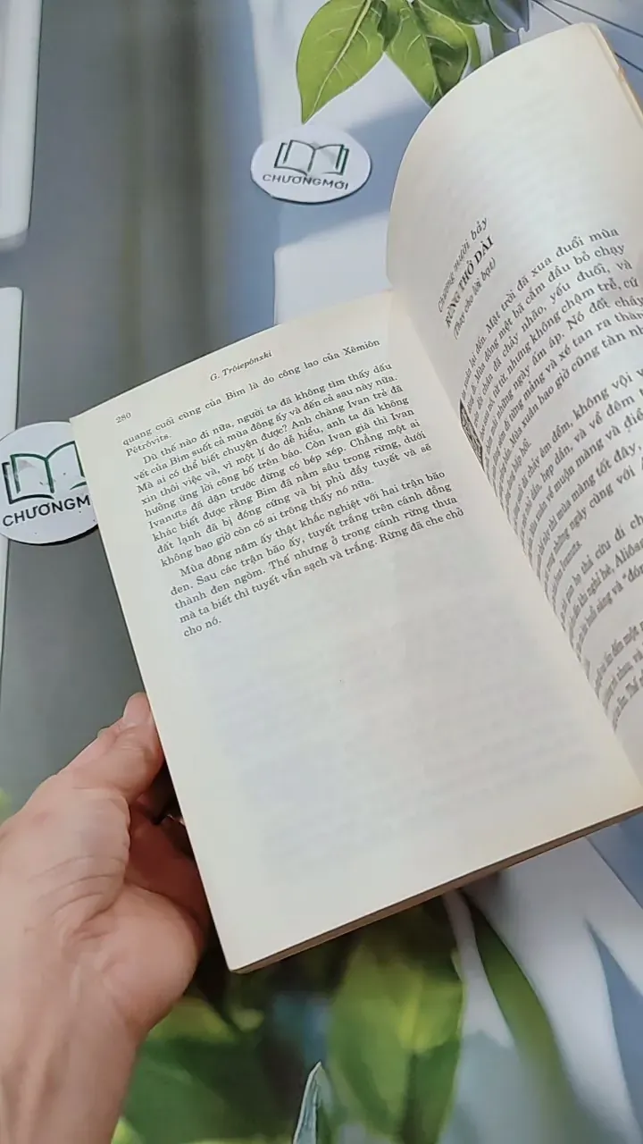 Con Bim Trắng Tai Đen 744686