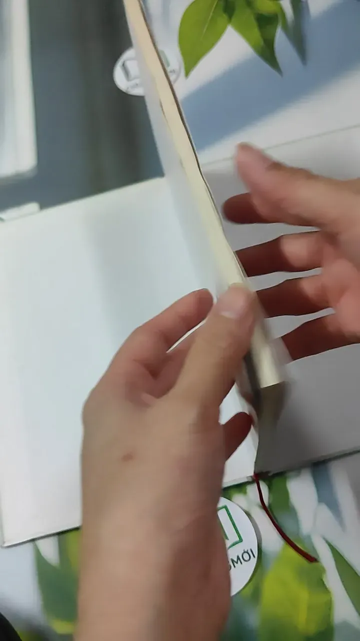 Hô Hấp Ký Spirometry - Lê Thị Tuyết Lan 780904