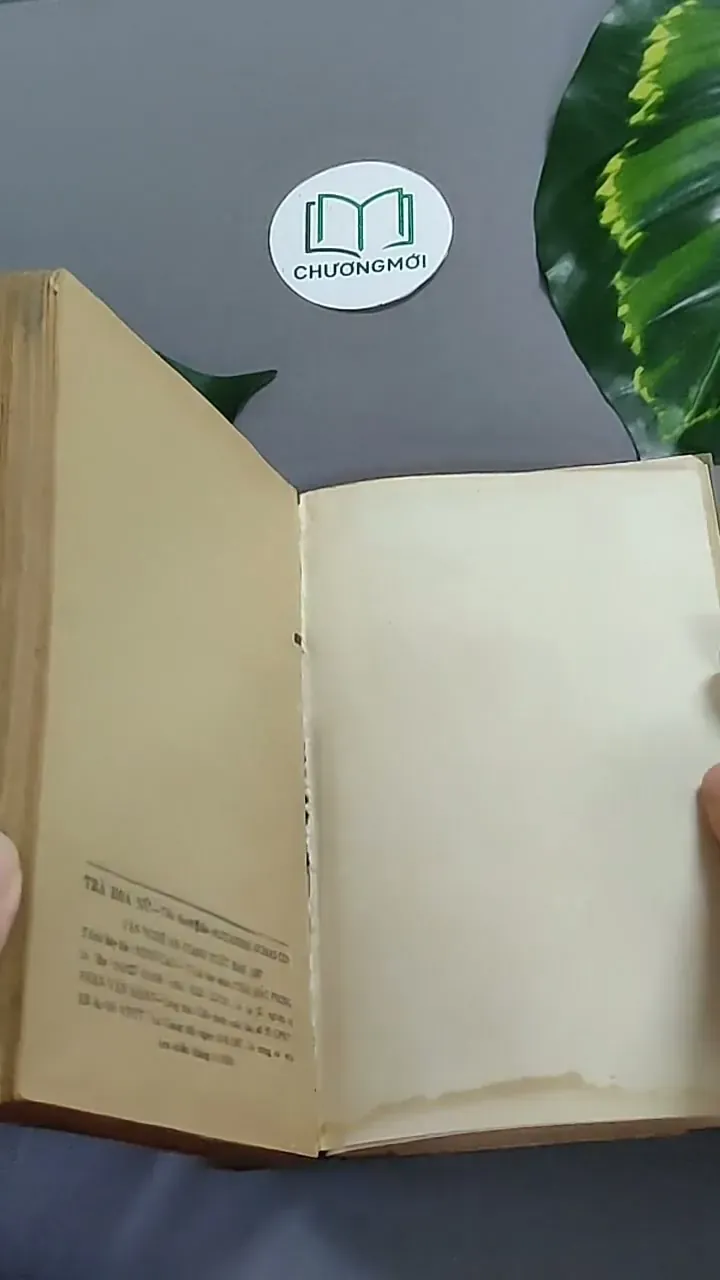 Trà Hoa Nữ 604659