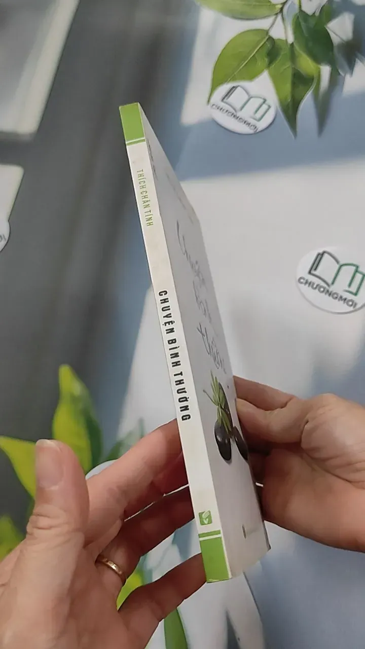 Chuyện Bình Thường - Thích Chân Tính 776106