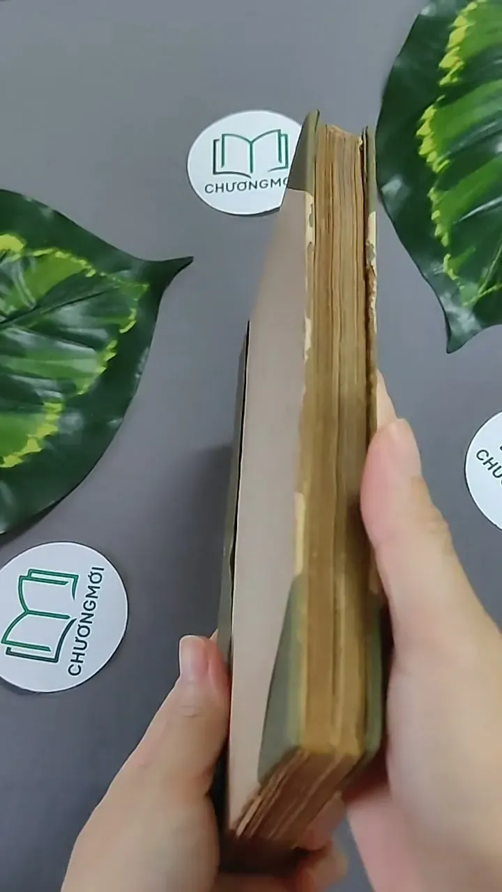 Trà Hoa Nữ 604659