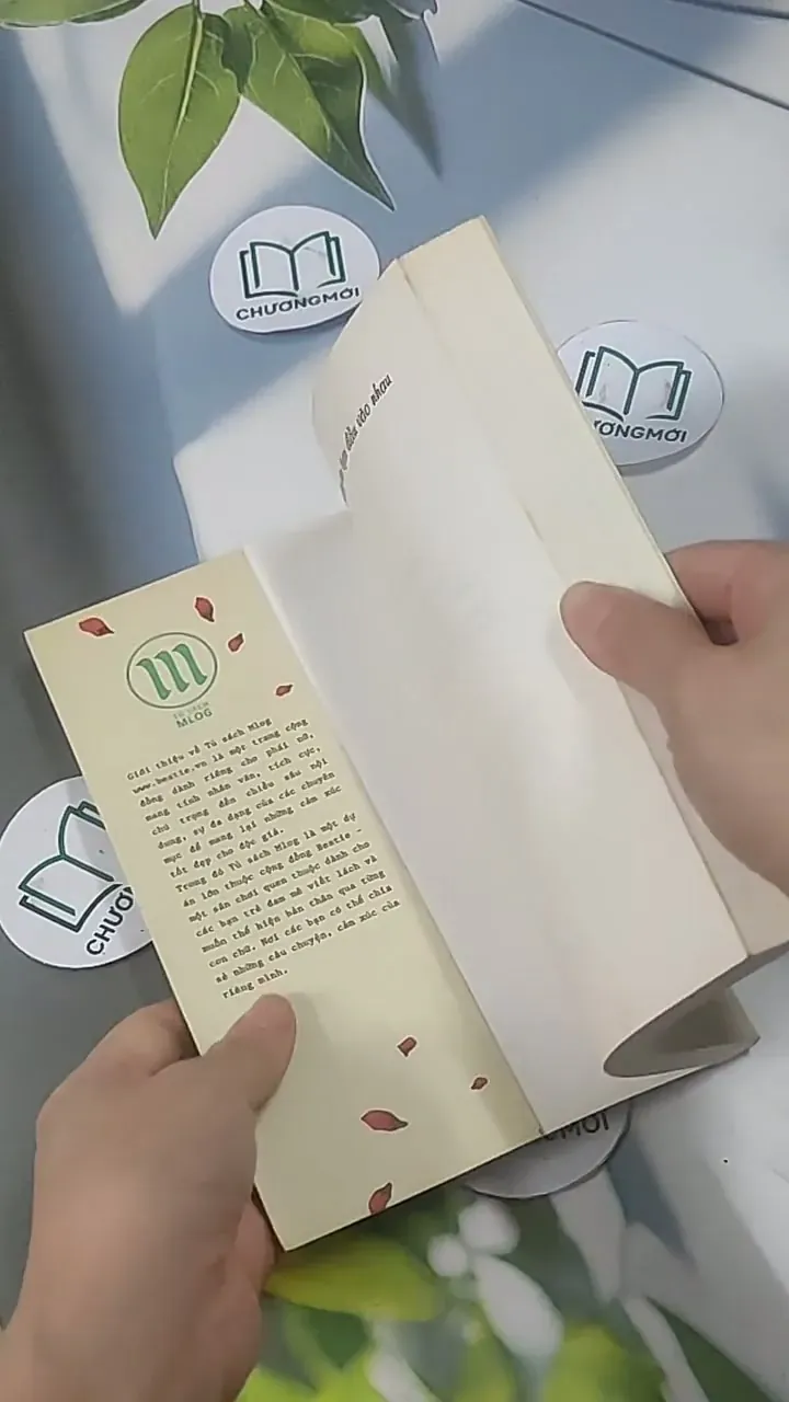 Giữa Những Ngày Tựa Đầu Vào Nhau 705566