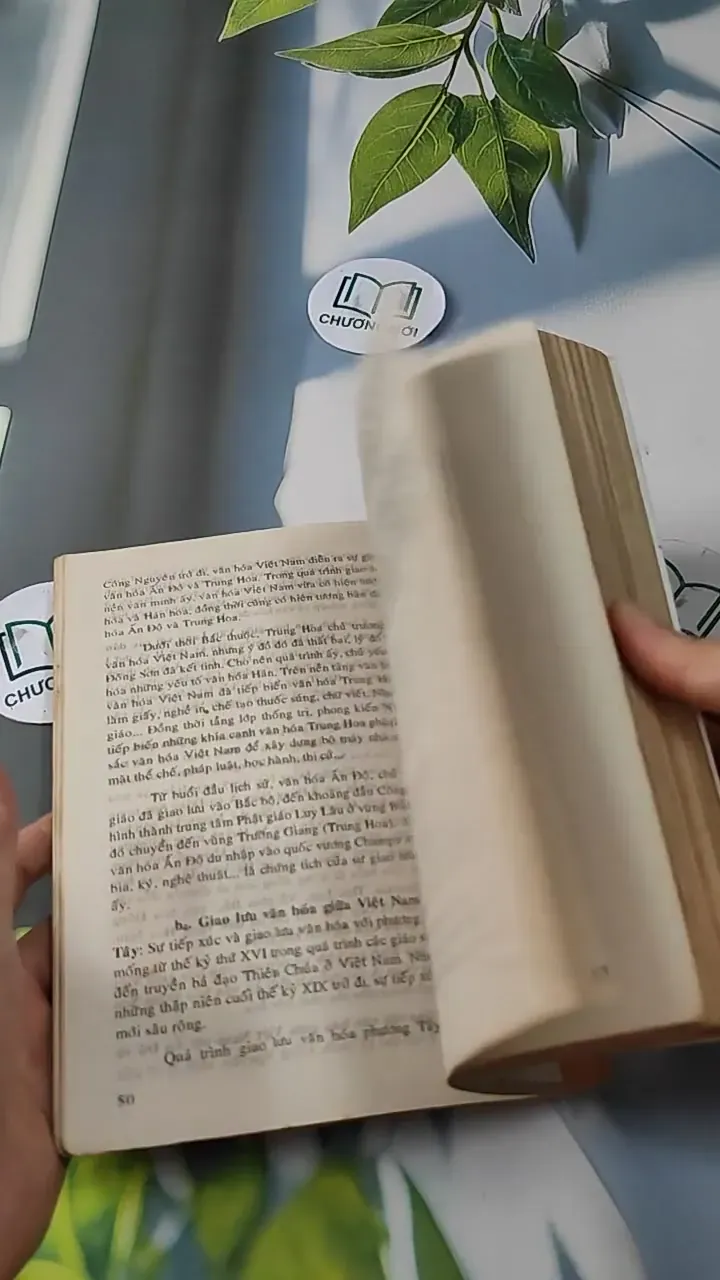 Cơ Sở Văn Hóa Việt Nam - Lê Văn Chưởng 727231