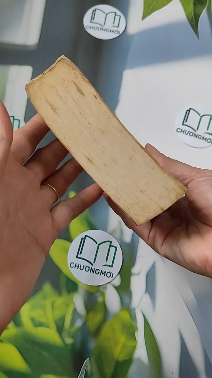 [MIỄN PHÍ BỌC SÁCH] Le Club des incorrigibles optimistes - Jean-Michel Guenassia 754497