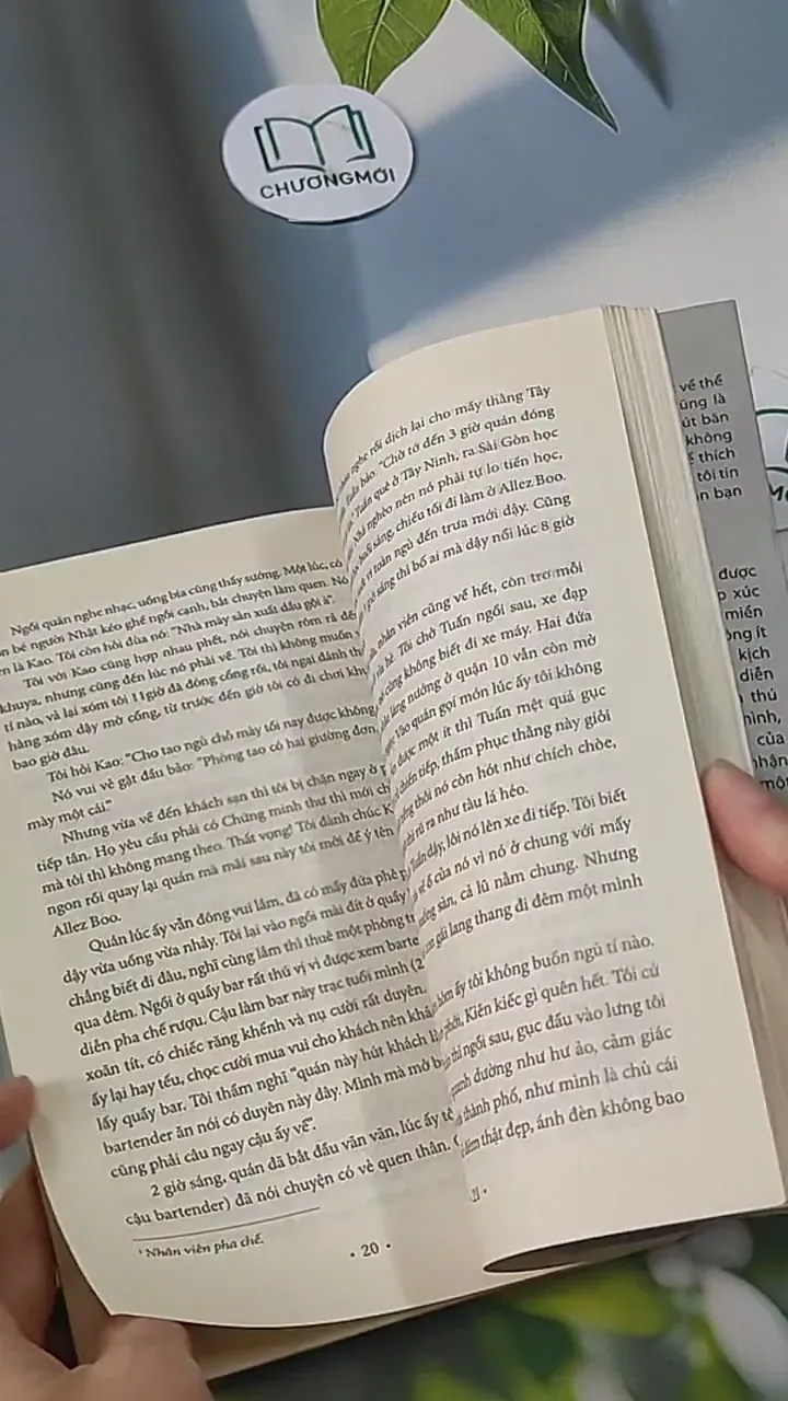 Hồi Ký Tân Phan: Gom Những Yêu Thương! - Tâm Phan 705582