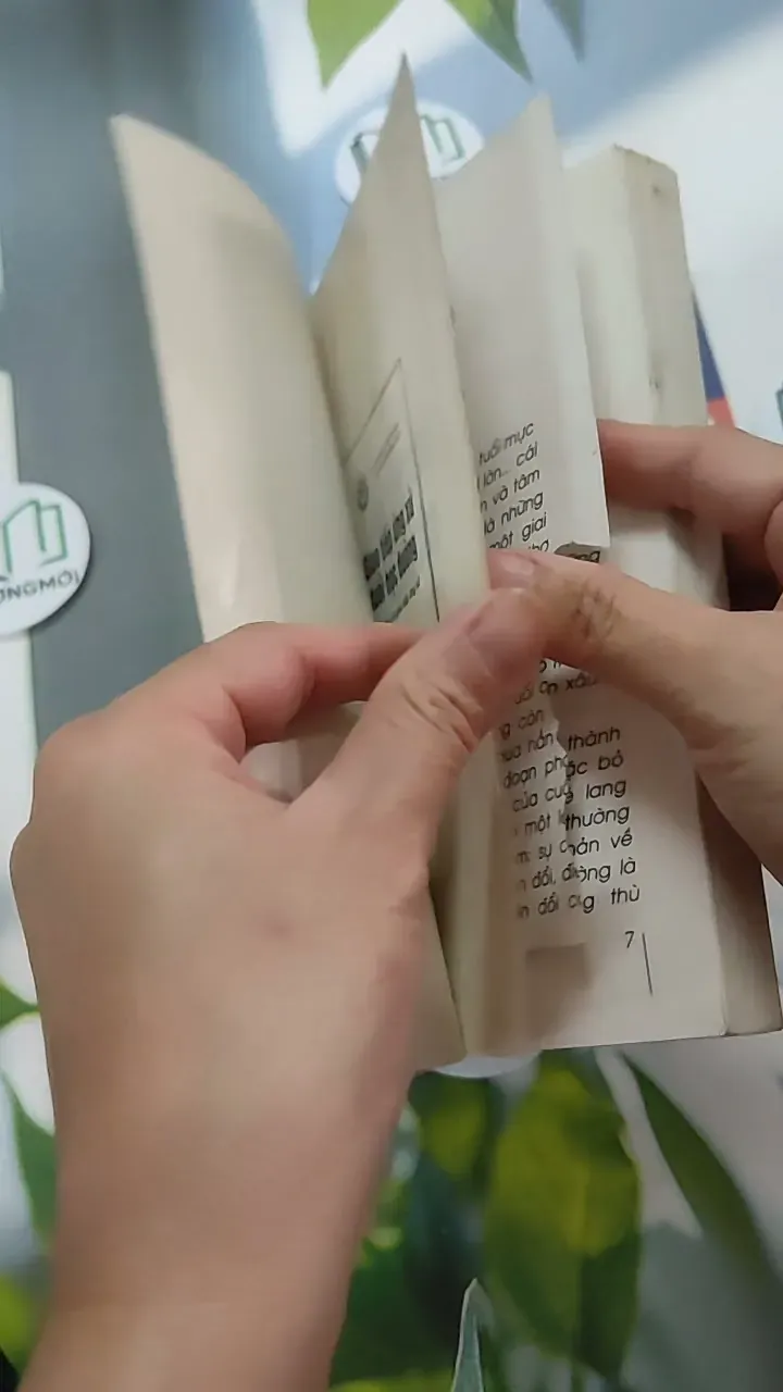 Combo: Giao Tiếp Ứng Xử Tuổi Học Đường, Bí Quyết Ứng Xử Duyên Dáng - Nguyễn Hồi Loan 787022