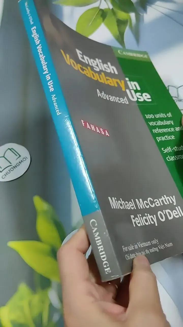 English Vocabulary In Use 713917