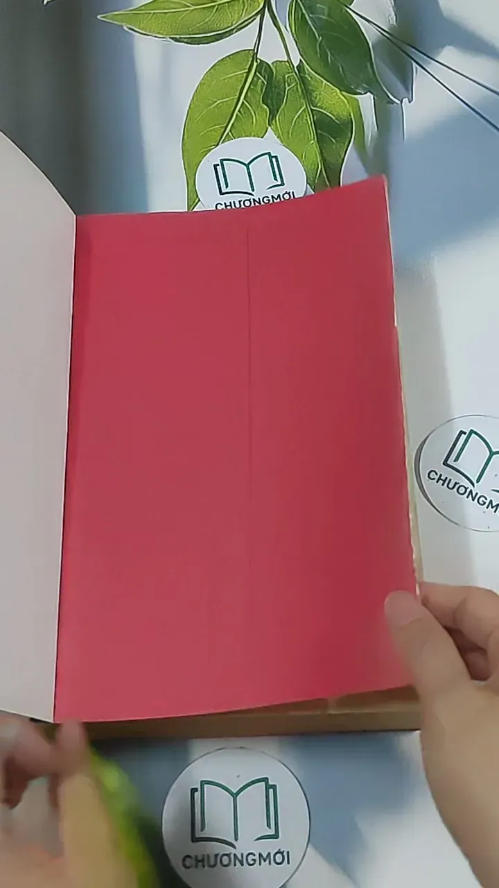 Nếu ốc sên có tình yêu - Đinh Mặc 688711