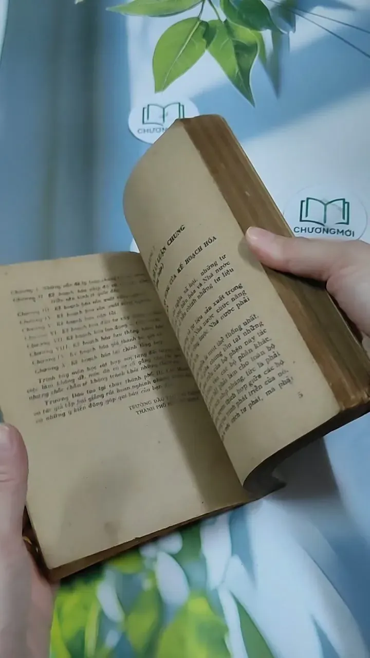 Kế Hoạch Hóa Kinh Tế Quốc Dân - Du Lô Giang 713884