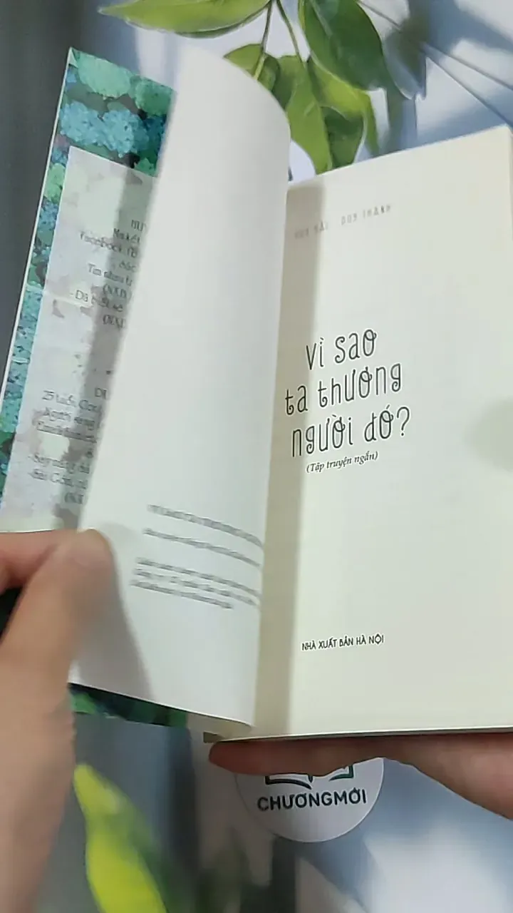 Vì sao ta thương người đó - Huy Hải 688717