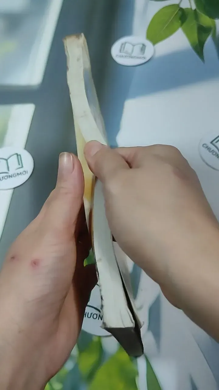 Cẩm Nang Văn Học Ôn Thi THPT Đại Học Cao Đẳng lớp 11 12 - Tạ Đức Hiền 727333