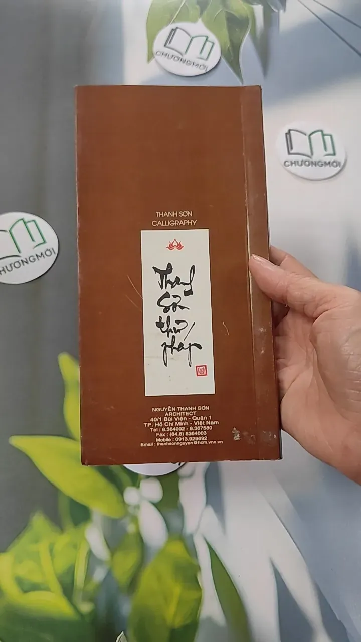 Phù Vân - Thư Pháp - Thanh Sơn 775953