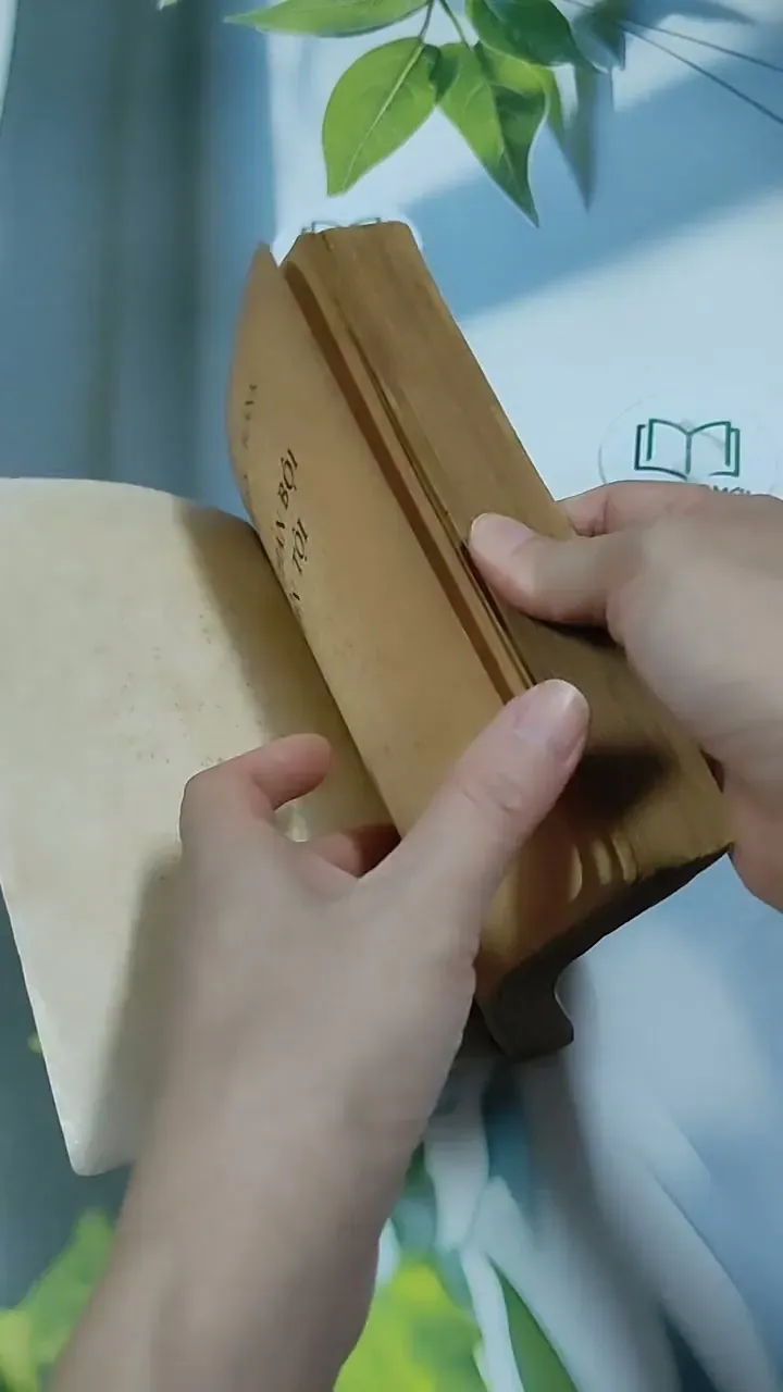 Kẻ Phản Bội Đền Tội - Martin Blank 713862