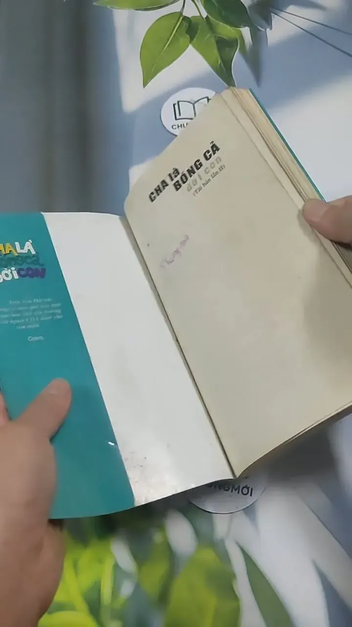 Cha Là Bóng Cả Đời Con - Aty 715589