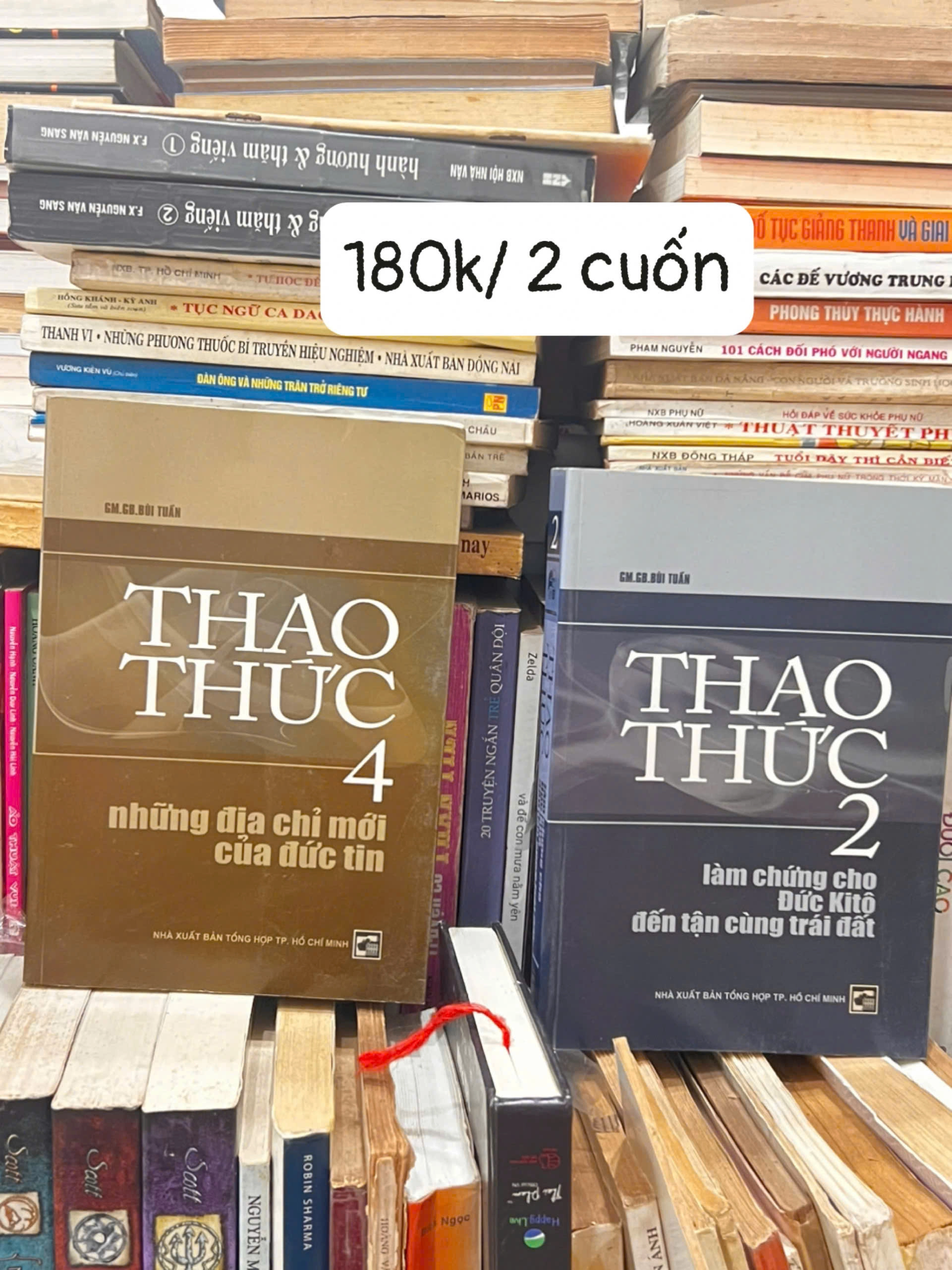 Thao Thức (tập 2, 4) - GM.GB Bùi Tuấn by Giám mục GB. Bùi Tuấn - Sách Book Cover - Ngọc Hiển Books