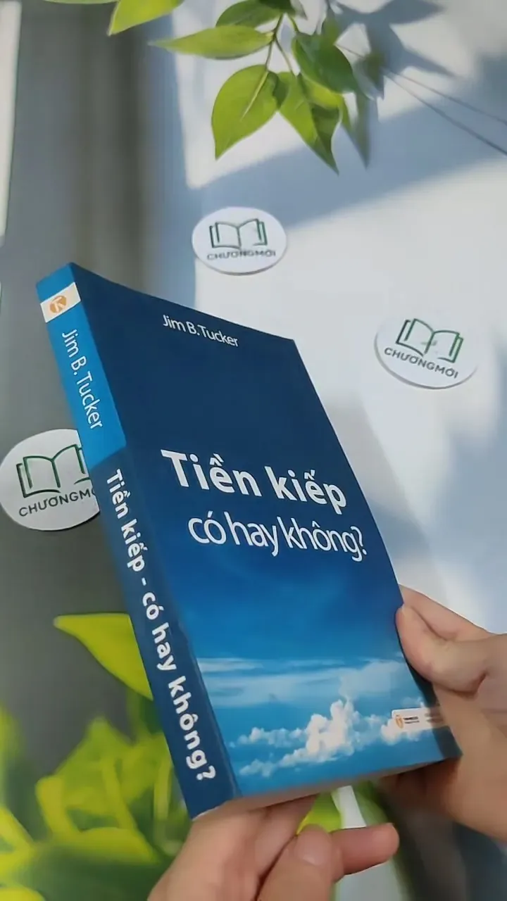 Tiền Kiếp - Có Hay Không? 705673