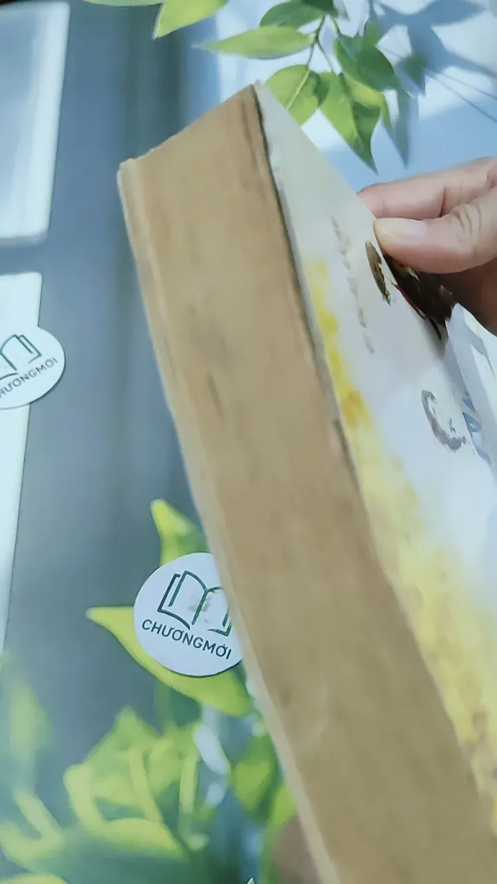 Chỉ Được Yêu Mình Anh - Nam Lăng 744764