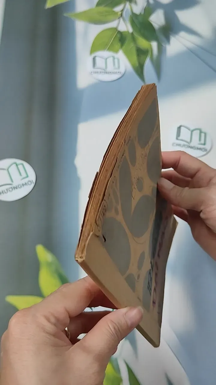 [XƯA] Bí Mật Đại Não (1982) - BS. Cao Trường Thọ 775987