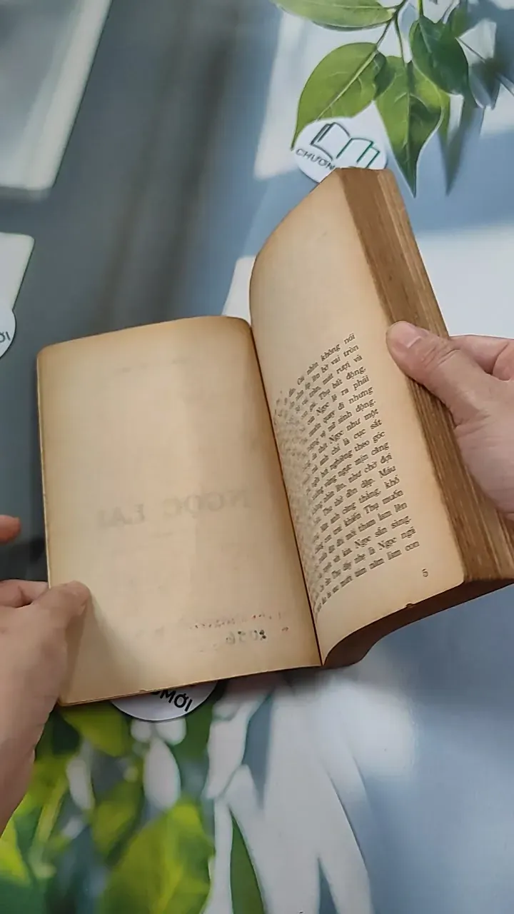 [XƯA] Ngọc Lai (1992) - Hoàng Thế Mai 776085