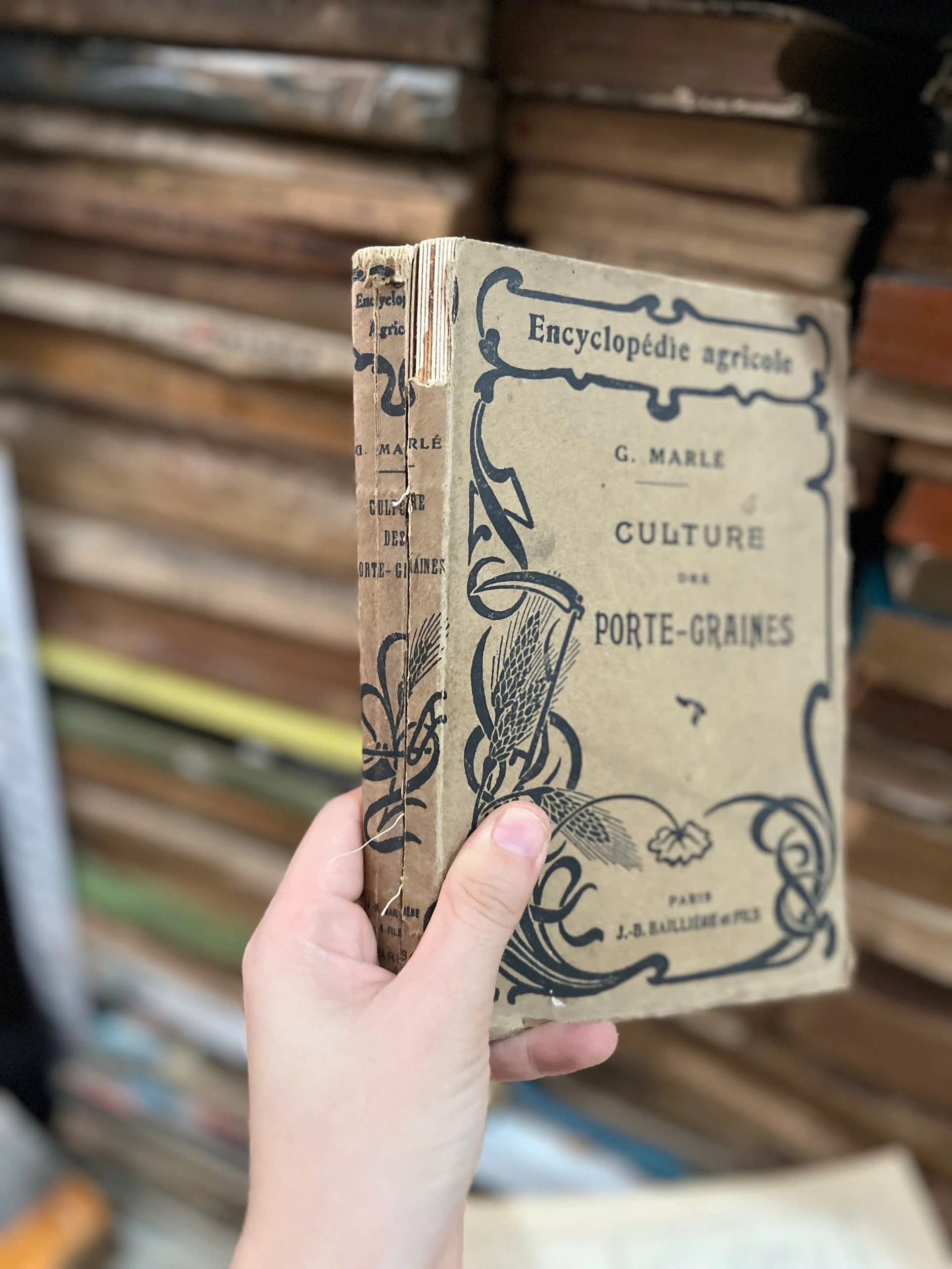 Culture Porte - Graines by  - Sách Book Cover - Ngọc Hiển Books