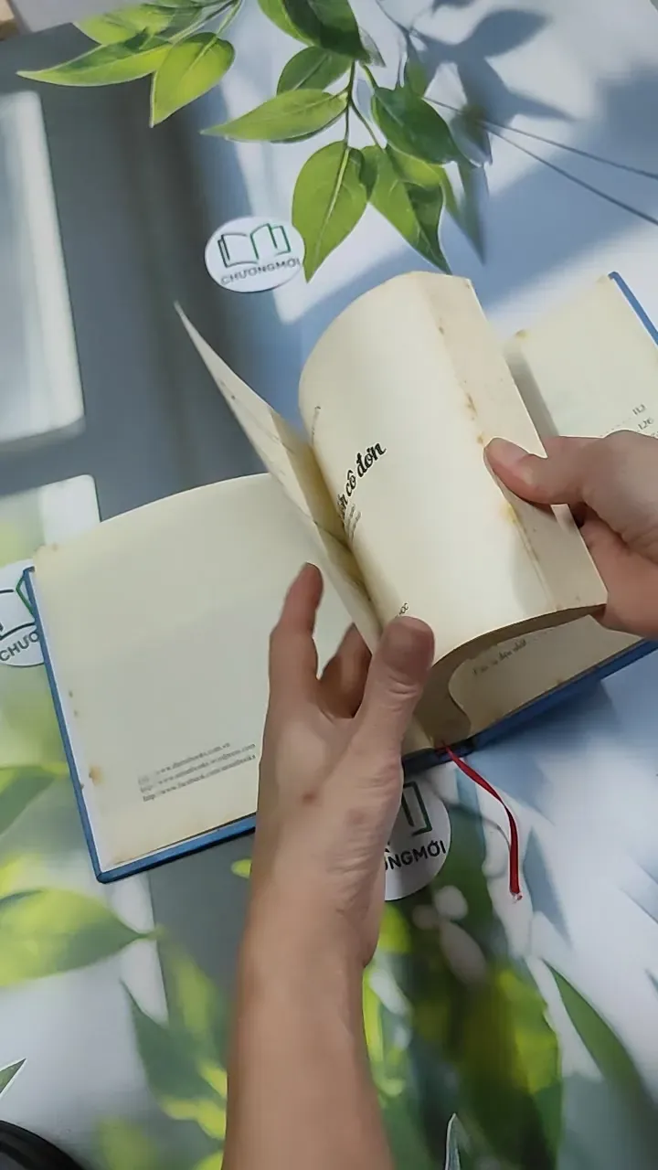 Người Lớn Cô Đơn - Phan Ý Yên 750832