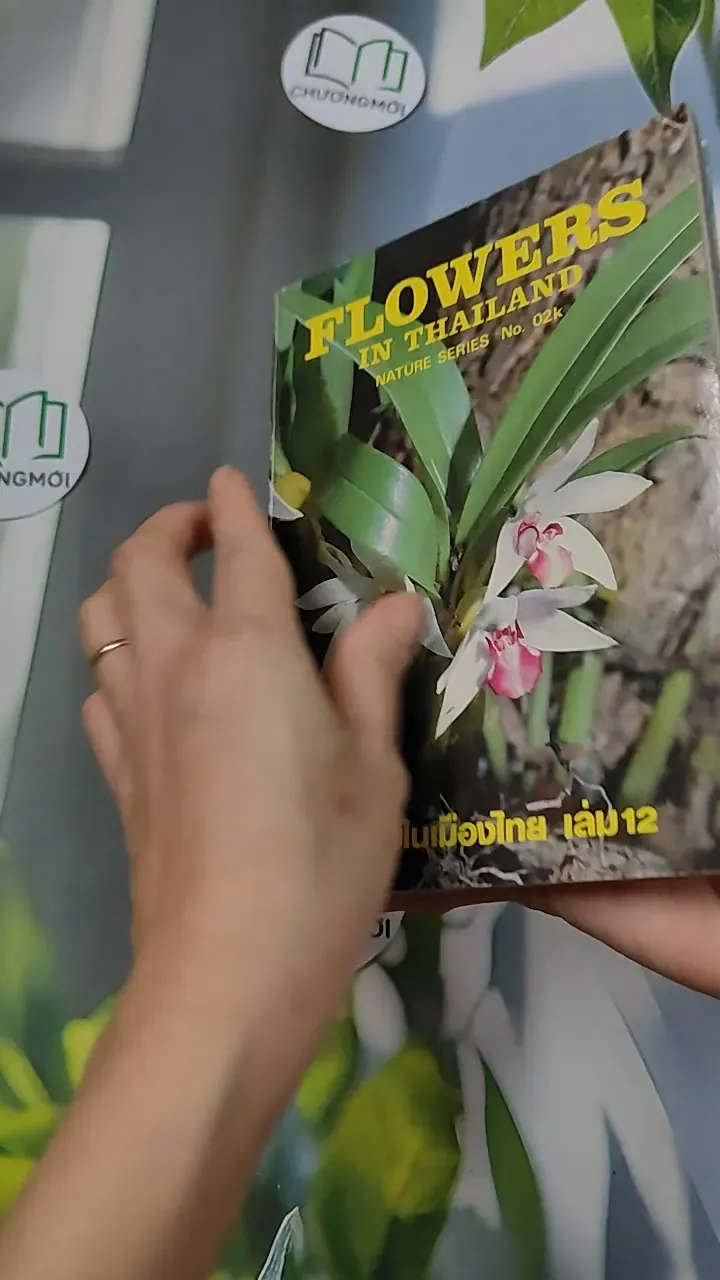 [XƯA] Flowers in Thailand Vol. 12 (1986) - Somsak Sukwong 754504