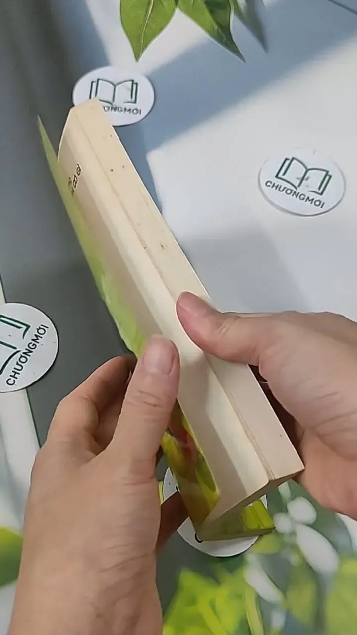 Tư Vấn Tâm Lý Học Đường - Thái Đức Lưu 705629