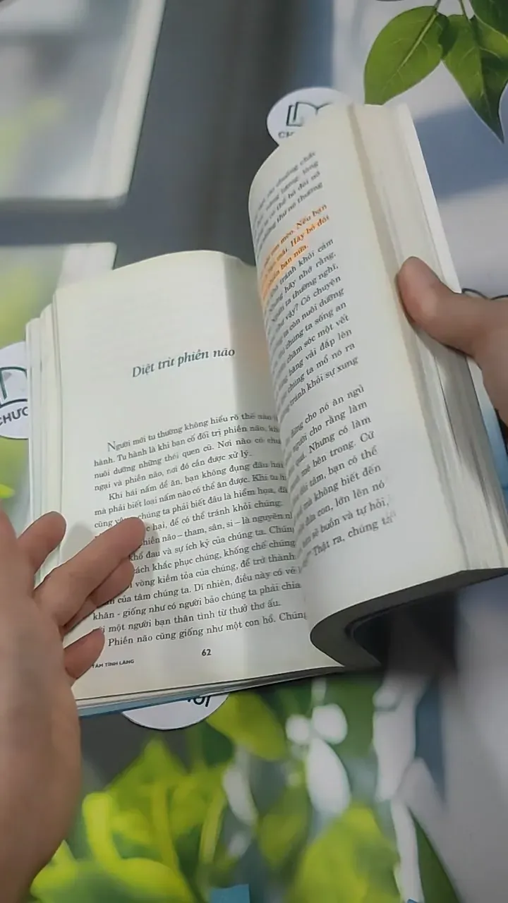 Tâm Tĩnh Lặng - Achaan Chah 727369