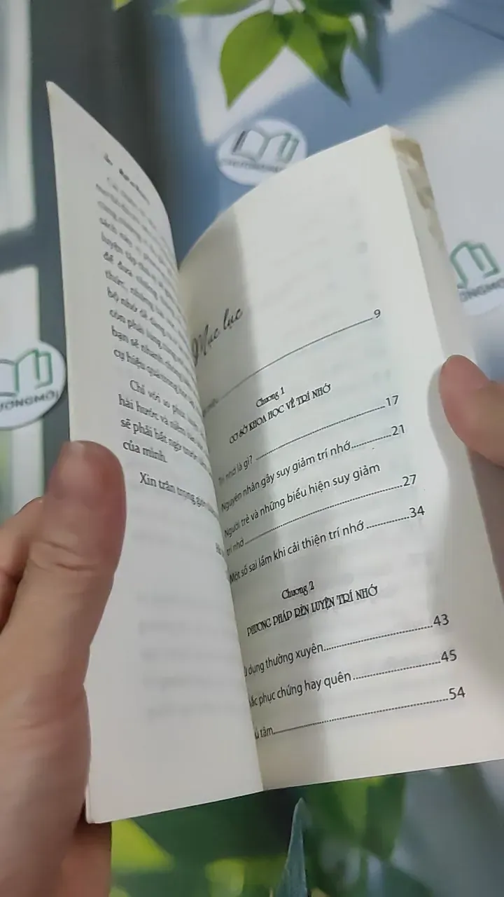 Luyện Trí Nhớ - Alpha Books 787052