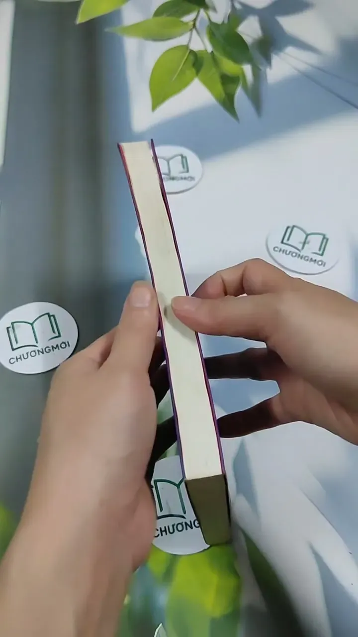 Những Câu Bé Trổ Tài 705677