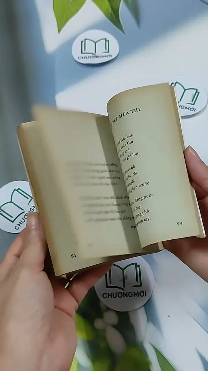 Hoa Trắng Tình Yêu - Ngô Văn Phú 703156