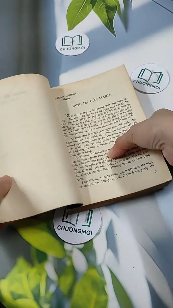 Những Mối Tình Đan Xen - Vũ Đình Bình - Phạm Sông Hồng 713835