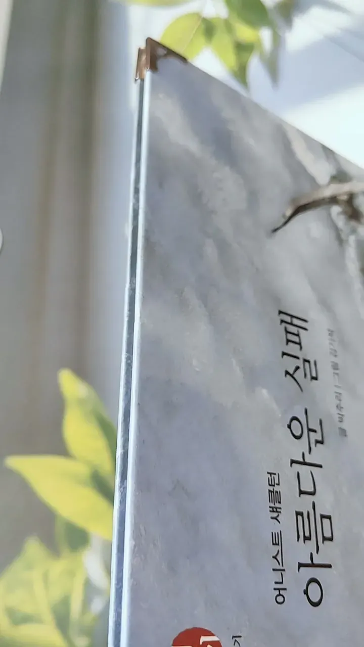 [Tặng nẹp góc] Truyện thiếu nhi Hàn Quốc: Danh nhân 33 -  지인지기 인물 이야기: 섀클턴 731998