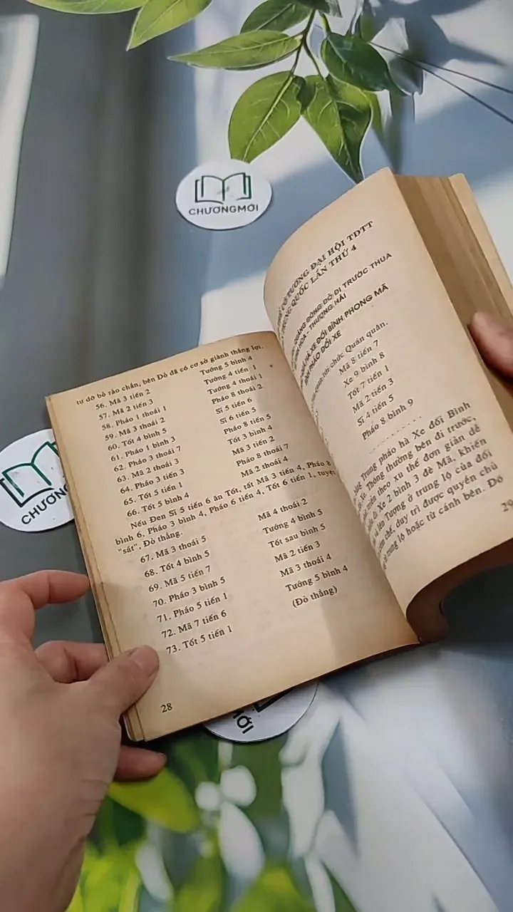 Bình luận những ván cờ lừng danh Trung Quốc - Giả Đề Thao 713812