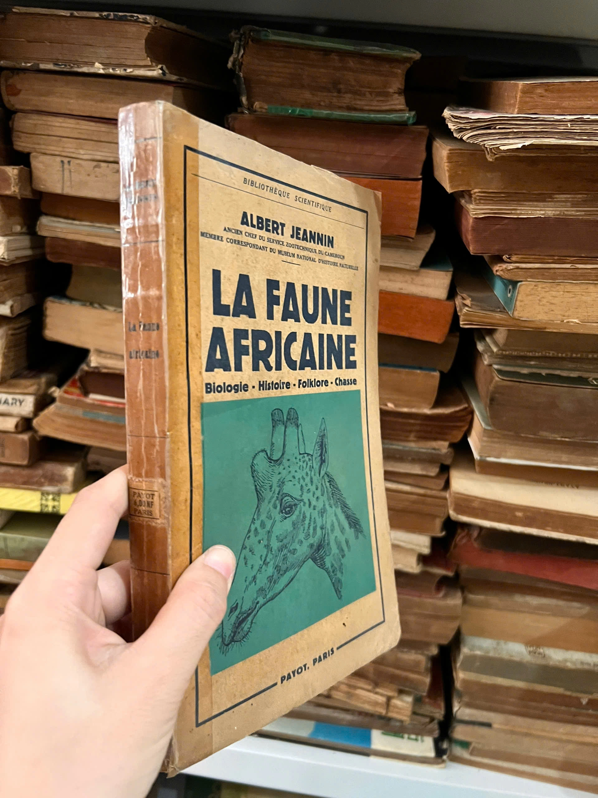La Faune Africaine. Biologie, Histoire, Folklore, Chasse by  - Sách Book Cover - Ngọc Hiển Books