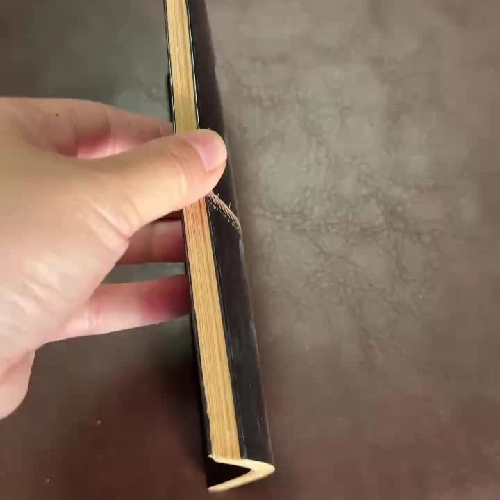 Buổi chiều muộn” – Khuê Việt Trường